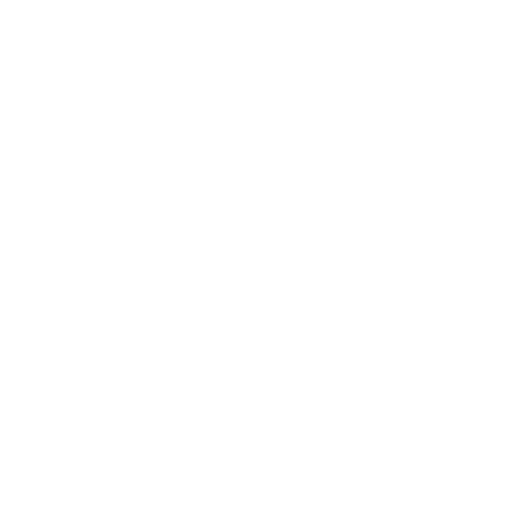 apisoftware logo