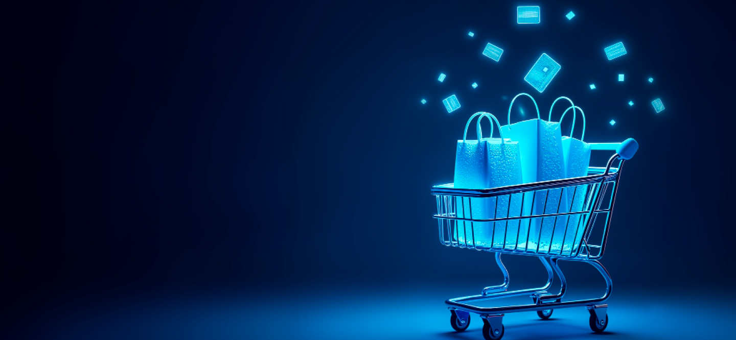 OUR SOLUTIONS FOR YOUR ECOMMERCE EXCELLENCE