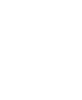 Ecommerce icon